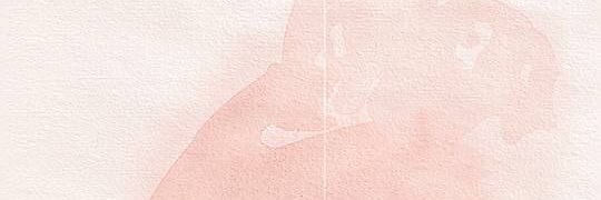 myshimoda's profile banner image