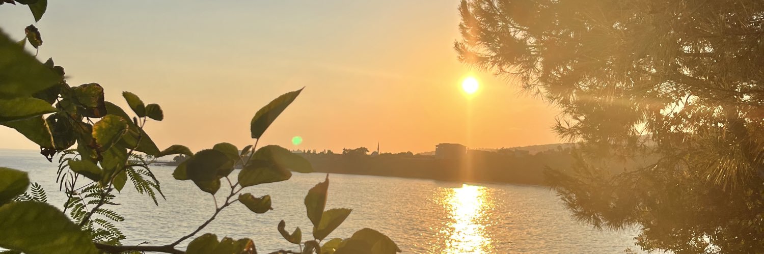 sezgo99's profile banner image