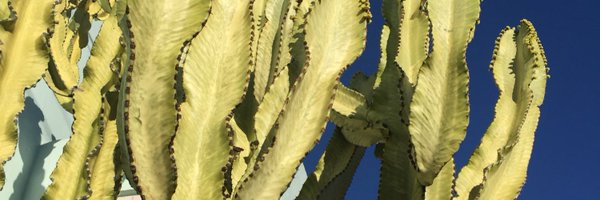 Chilichel12 Profile Banner