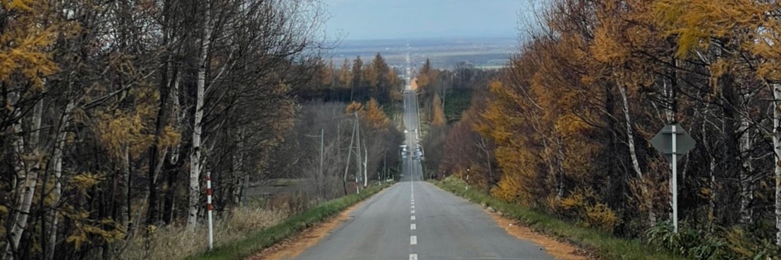 buddy_kei28 banner