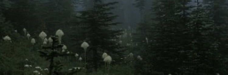 sndsofemptyuzis's profile banner image