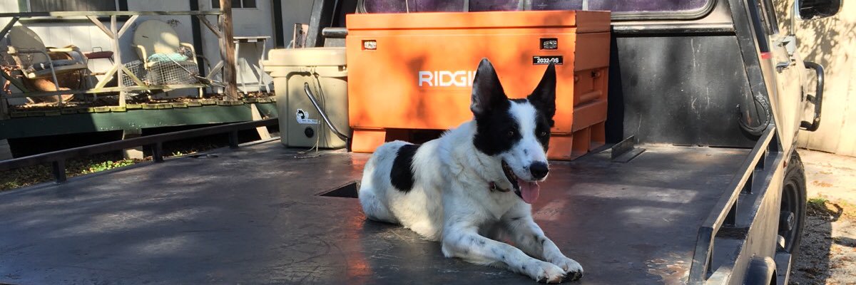 logannewton13's profile banner image