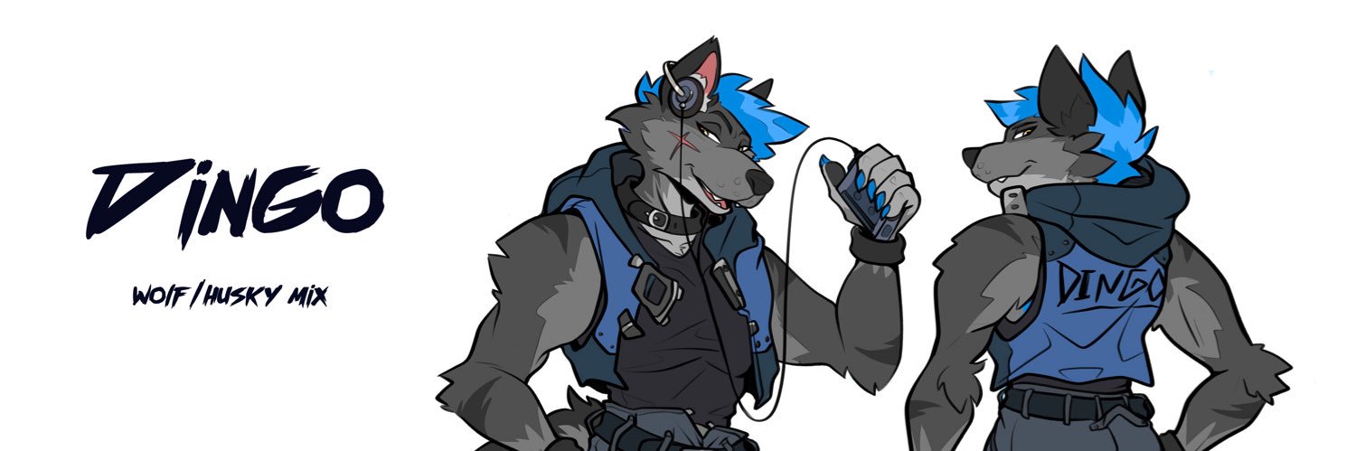 Dingo 🔜 TFF banner