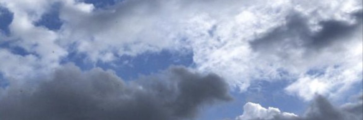 irenerodrigz2's profile banner image