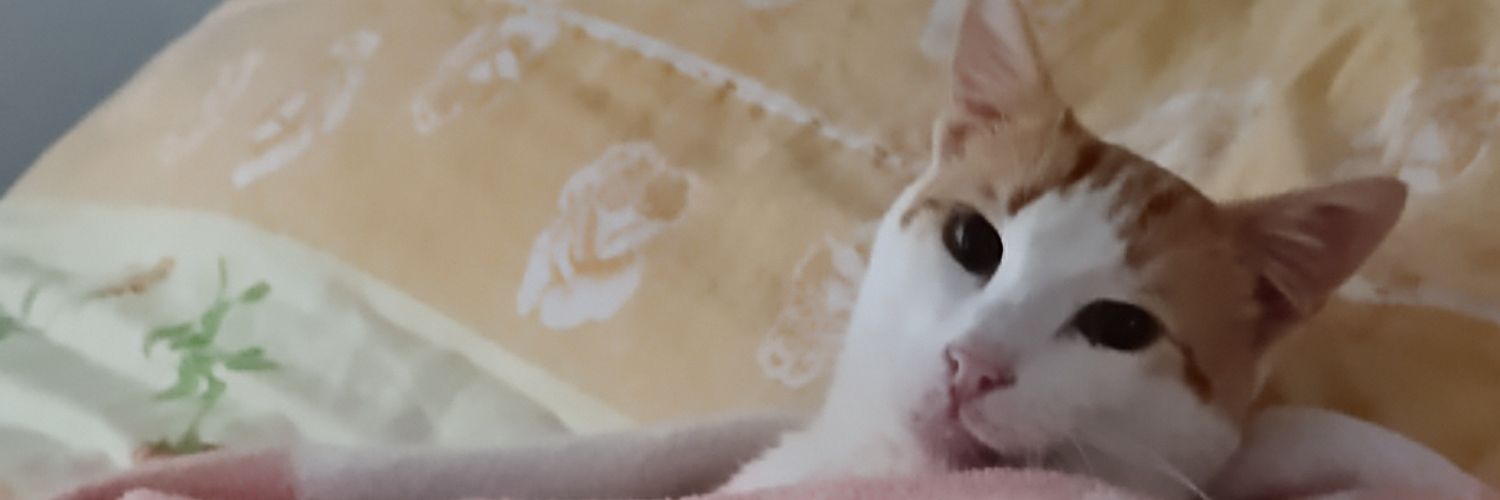 ftma_camlica's profile banner image