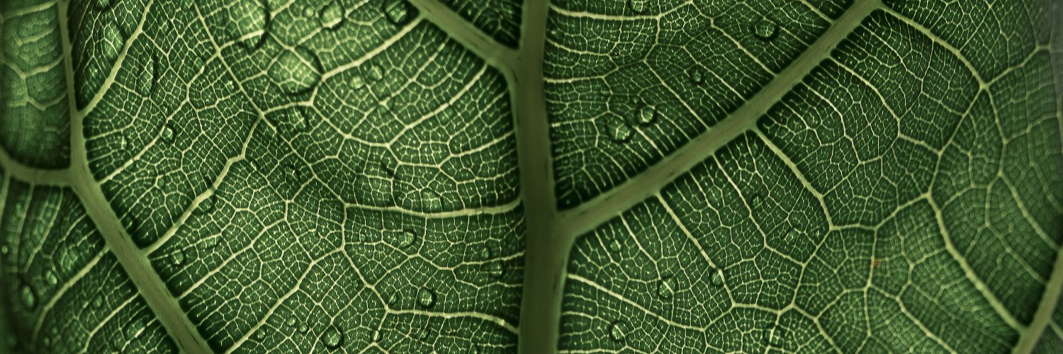 WeBeGreen banner