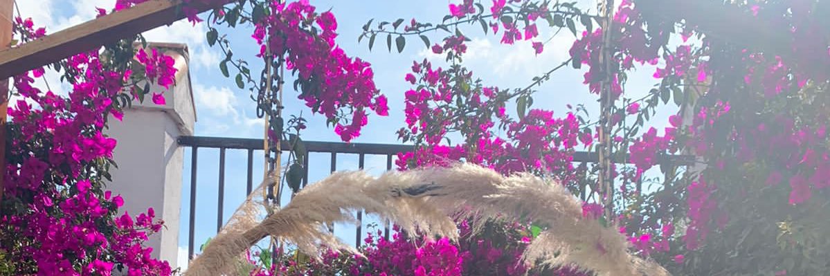 Micheleag's profile banner image
