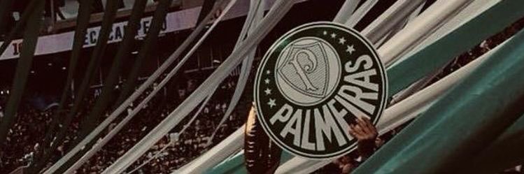 buzz a palmeirense banner