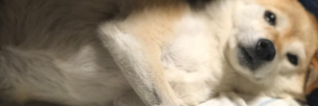 ymgtked's profile banner image
