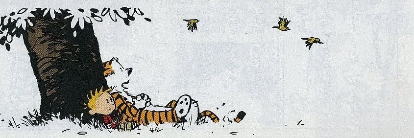 (LP2 OUT NOW) mothboxx banner