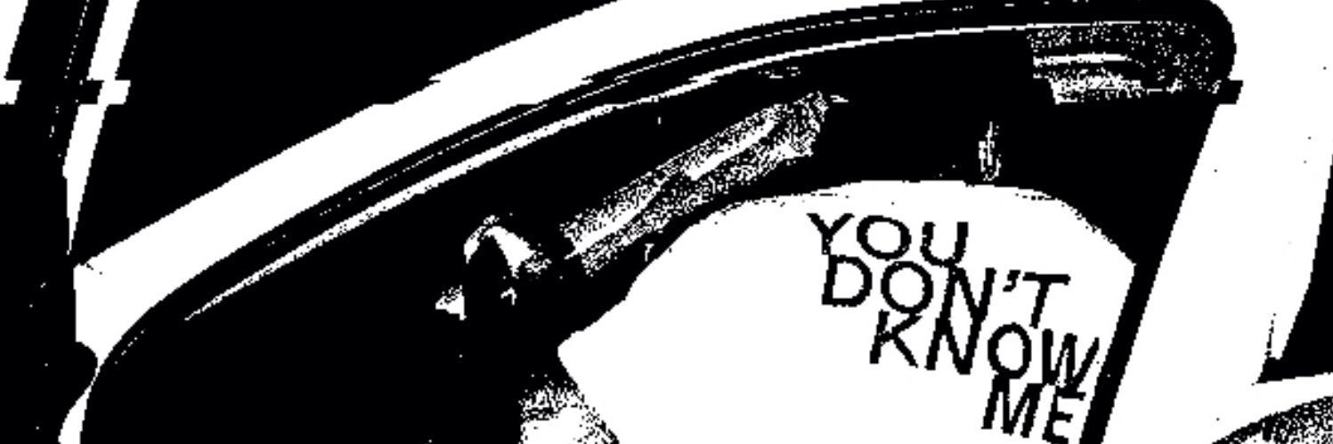shaggy banner