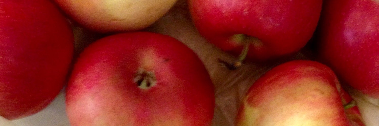 exempvegetable's profile banner image