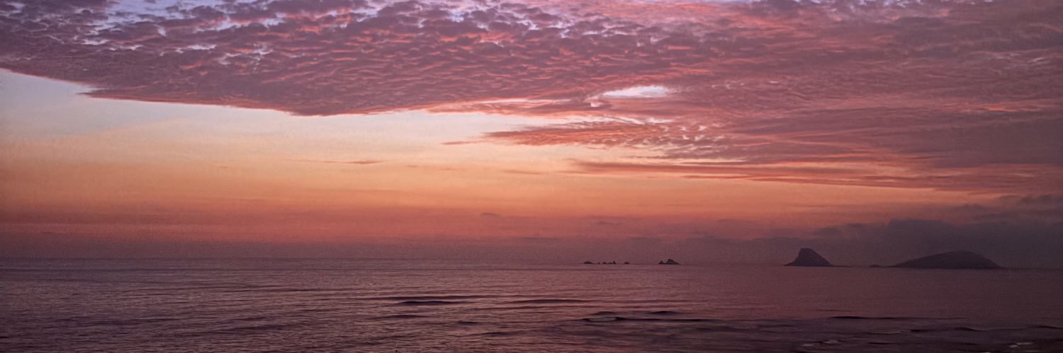alegomez24_'s profile banner image
