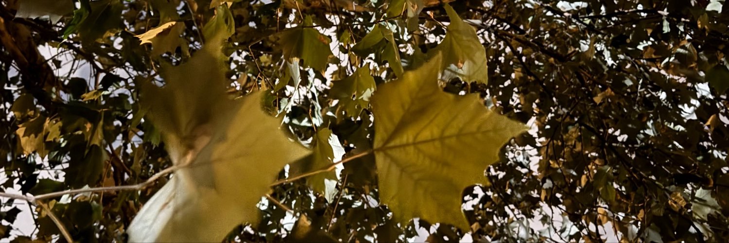 katherinieto's profile banner image