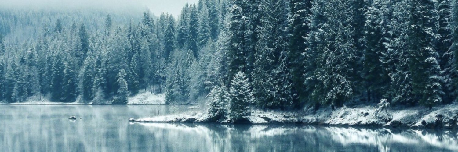 DonD09341652's profile banner image
