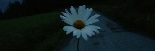 AgusMeccia's profile banner image