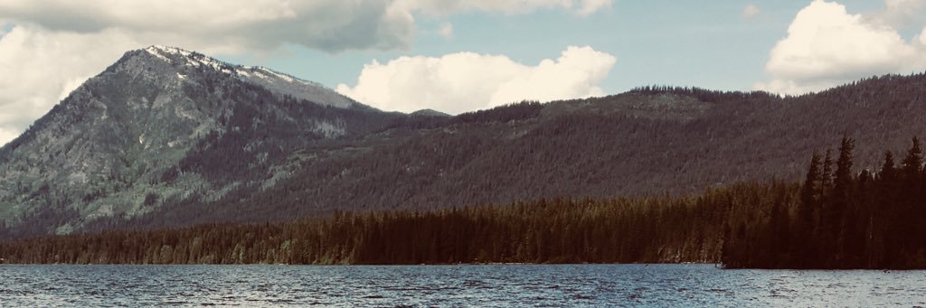 Beth Whitney banner