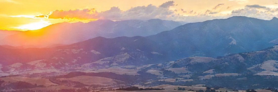 NorCalRedWave banner