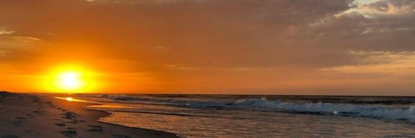 MirandaMarch6 Profile Banner