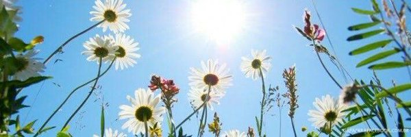 Pra_Sn_MariaDom Profile Banner