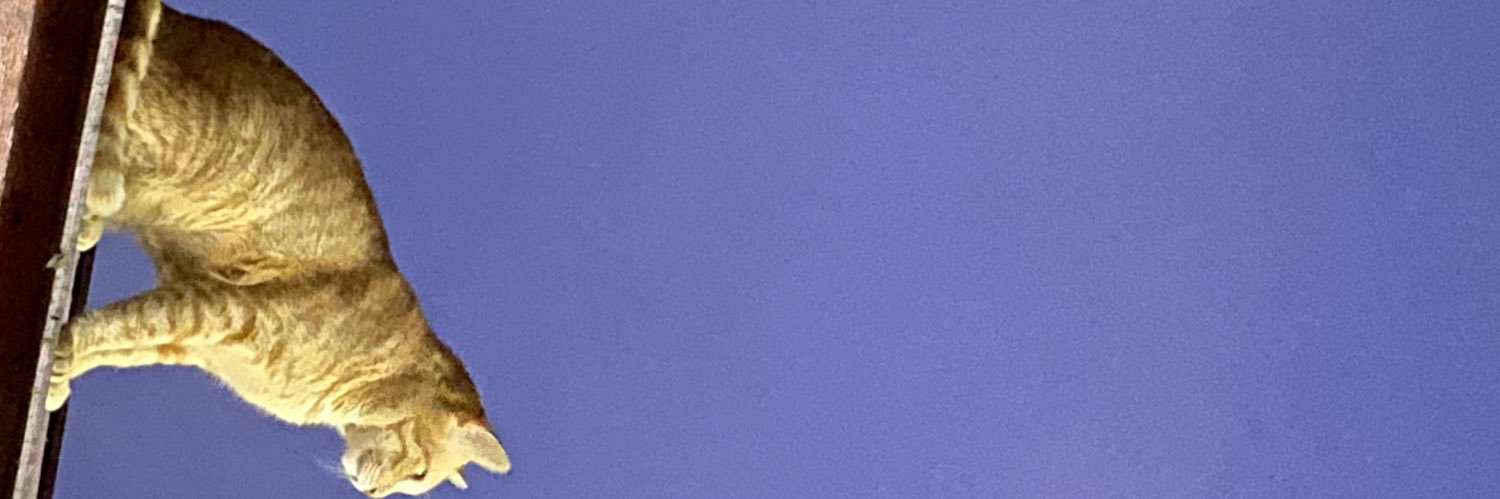 Jessiittm banner