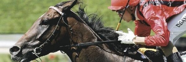 Gando_GM Profile Banner