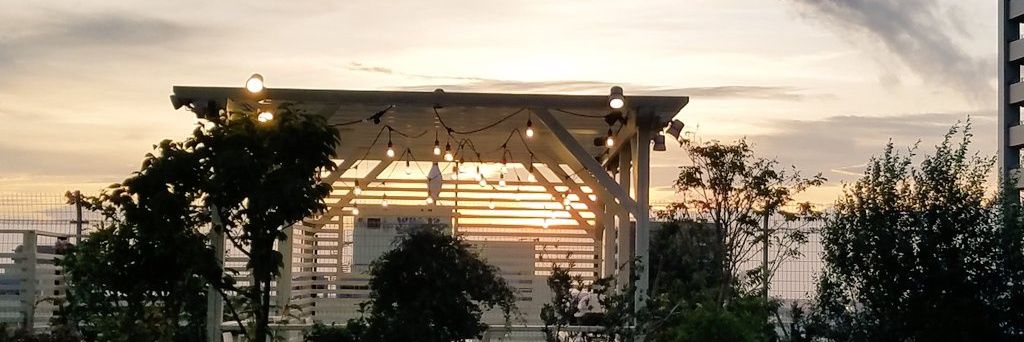 🐸TOKO。🦎 banner