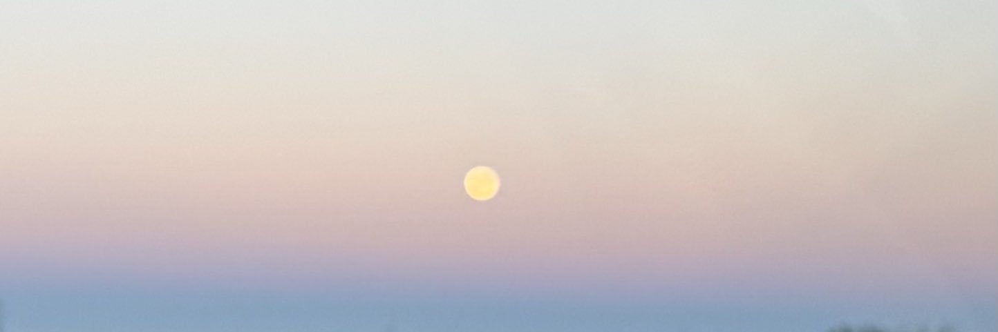 steve 🅁🅅🄽𓄿 banner