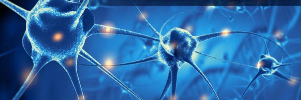 JournalofNeuro1 Profile Banner