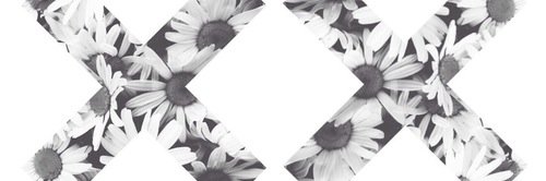 iselin1998's profile banner image