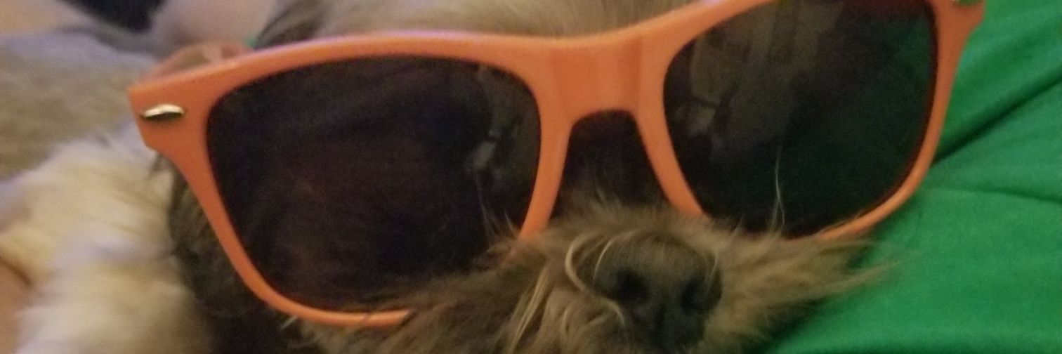 cookie81105's profile banner image