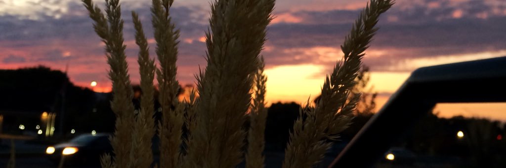 dusk_sky's profile banner image