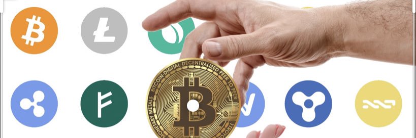 WIZZ🥷 (beware scammers) parody banner