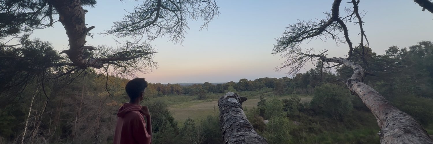 RavinuB's profile banner image