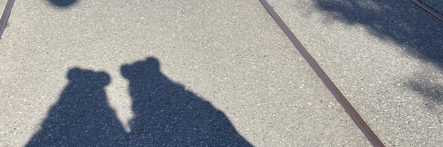 りさ🖤😸 banner