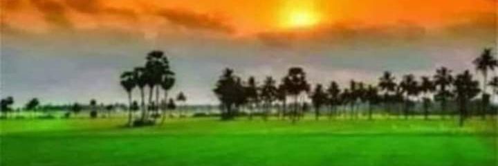 WasimHaidar11's profile banner image