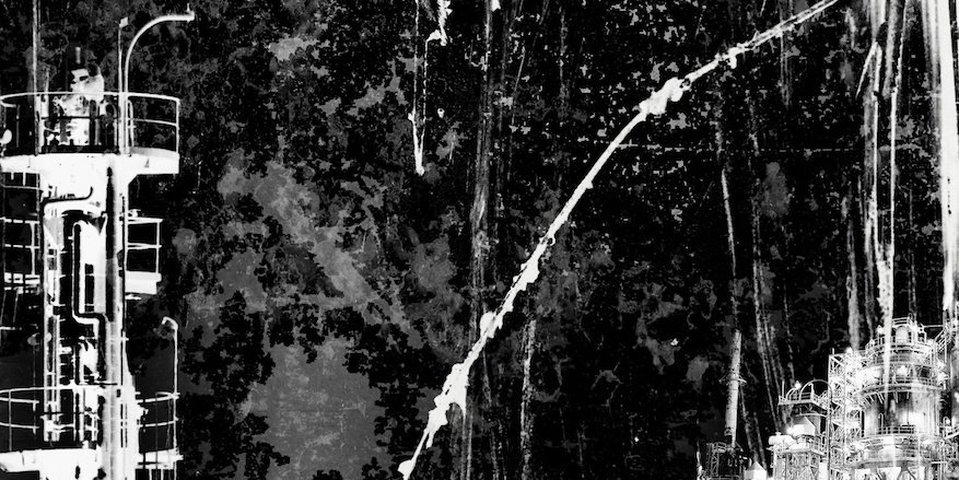 Primate After All banner