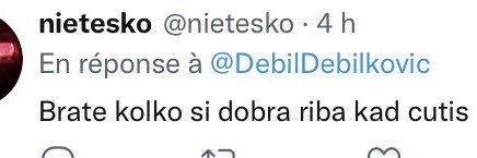 ❄️Nina Ninchy Pzs❄️ banner