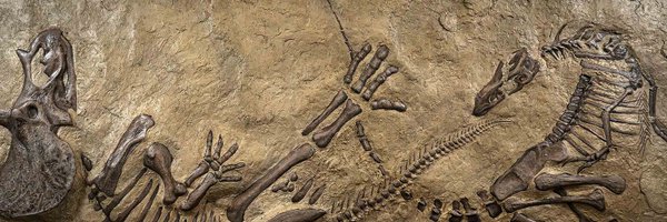 itsSammyTime11 Profile Banner