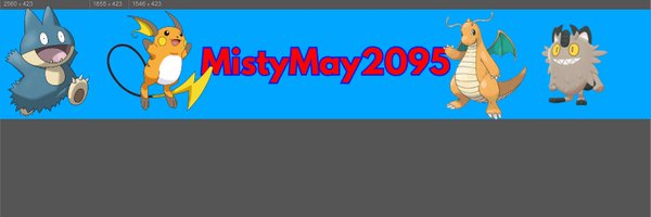 MistyMay2095 Profile Banner