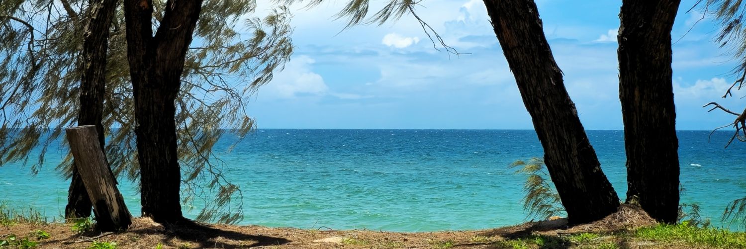 🥃ScotchPig🐷 banner