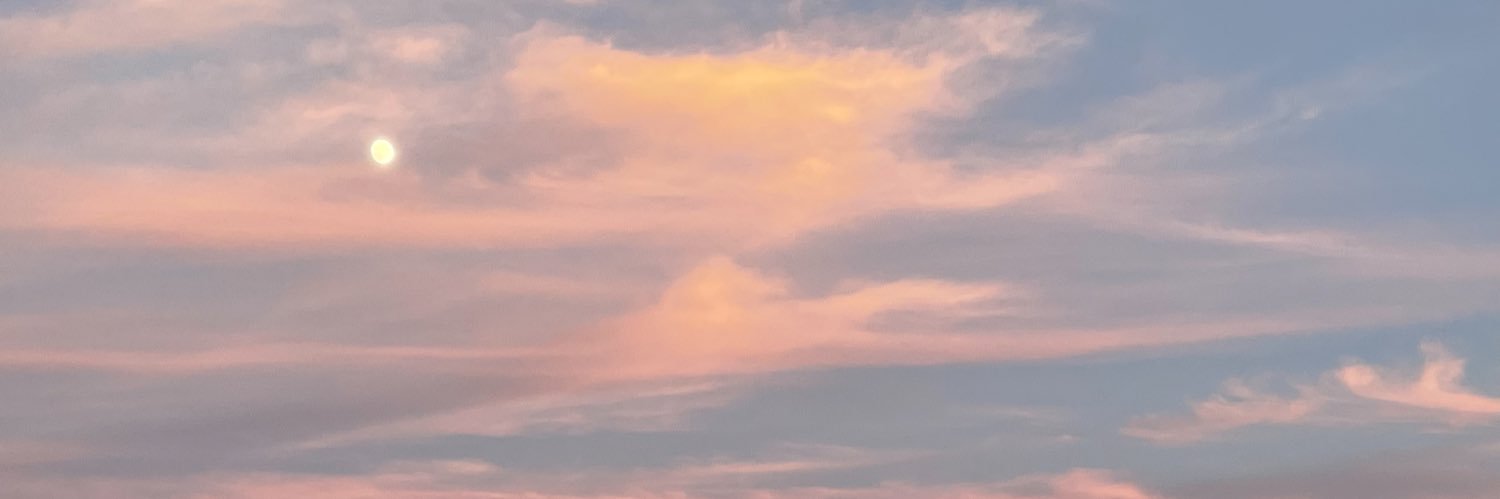 gocchi_n's profile banner image