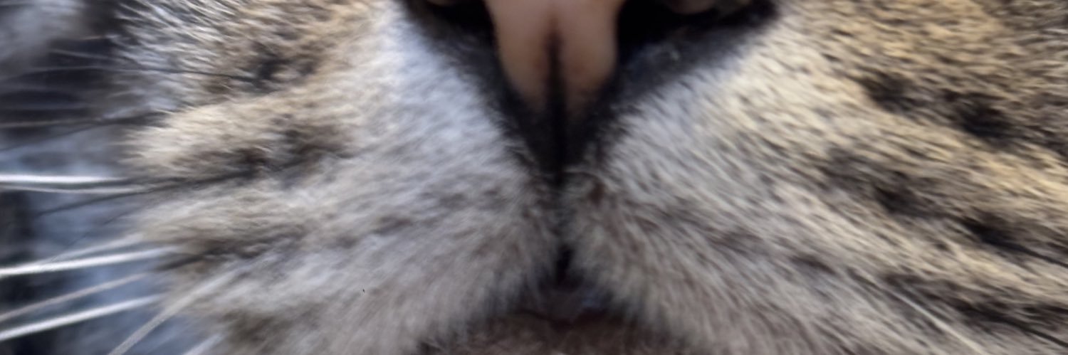 gooodkat_'s profile banner image