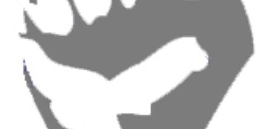 introgativisme's profile banner image