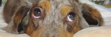 chacha24da's profile banner image