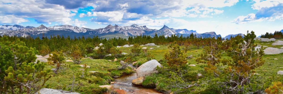 Ryan Hollister banner