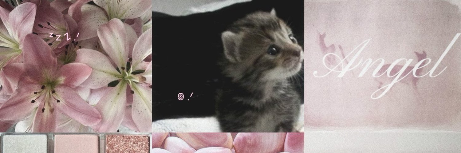 ₍ᐢ. .ᐢ₎ (@eenamiasa) / Posts / X