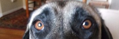 u_packin's profile banner image