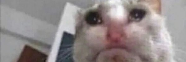 chufwilliams Profile Banner