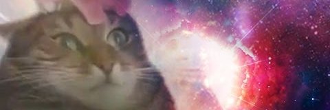 Anhinck's profile banner image